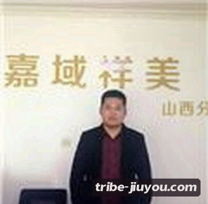 陈曦